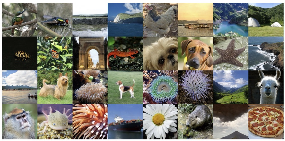 One-step generation showcase of ImageNet-256x256 with ESC(SiT-XL/2 architecture)